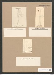 Pleurosigma var. kuetzingii Grun. (de-Toni-Nr.: Genus 13, Species 1076) Zeichnungen Sammlung Grunow Nr. 1967 (NHMW-BOT-W0369111)